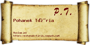 Pohanek Tíria névjegykártya